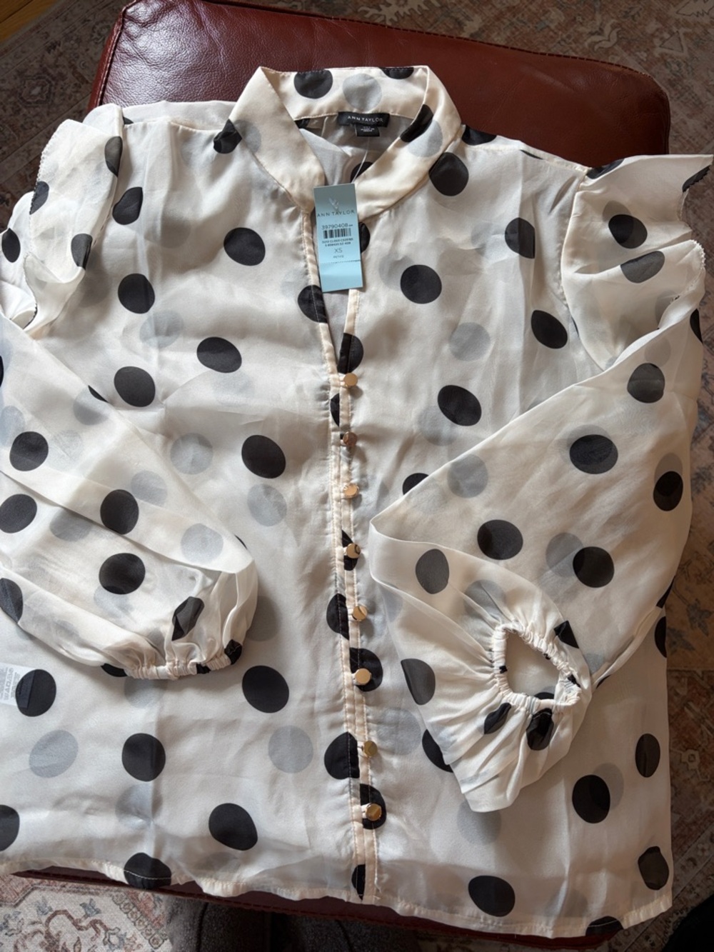 Ann Taylor Polka Dot Sheer Button-Up Blouse - Black on Ivory